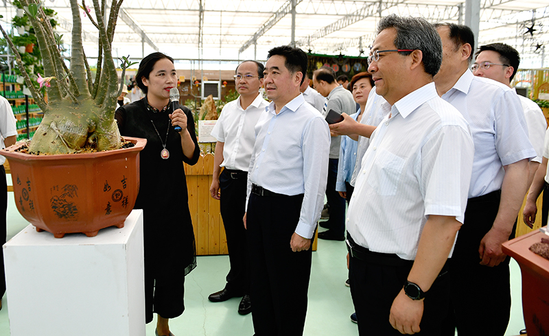 泗陽現代農業產業園菌種科創中心,泗洪縣半城鎮漁民新村,宿豫區來龍鎮